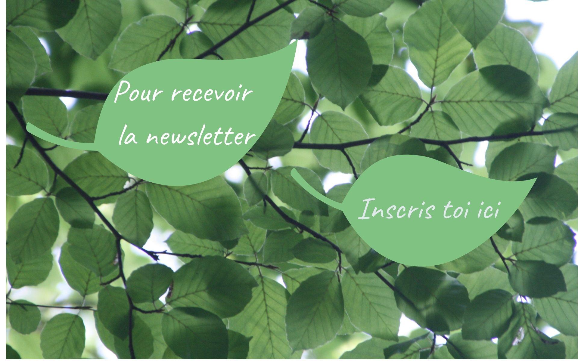 Inscription newsletter